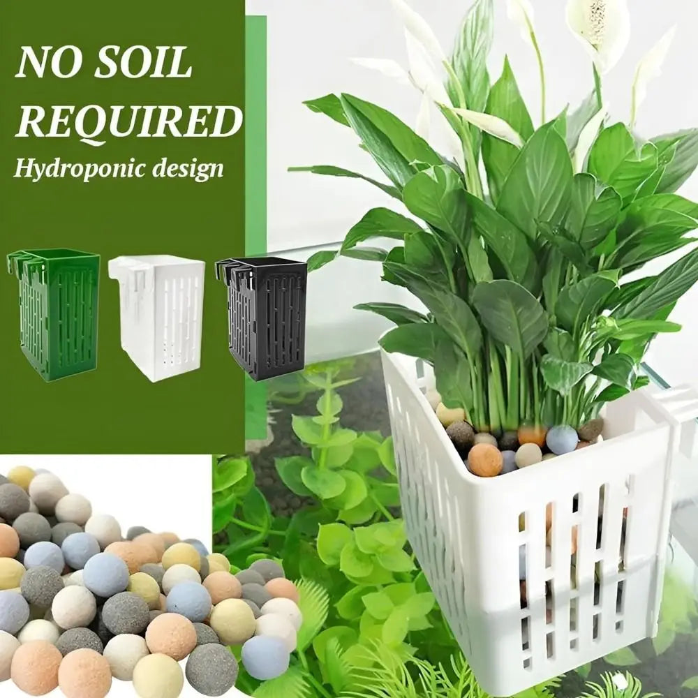 Buy one and get one free | TankBloom – Natural flair for your aquarium!