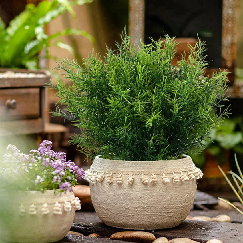 2+3 FREE | EverBloom ornamental grass - Stays beautiful forever, without watering 