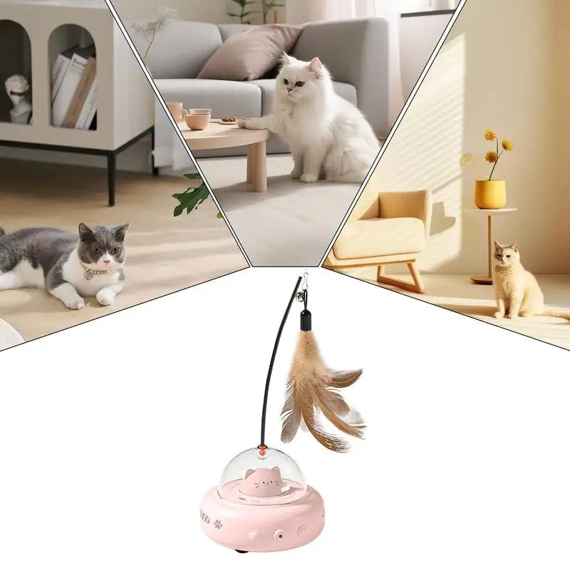 CatRocket - Your cat hunts even when you're not there!