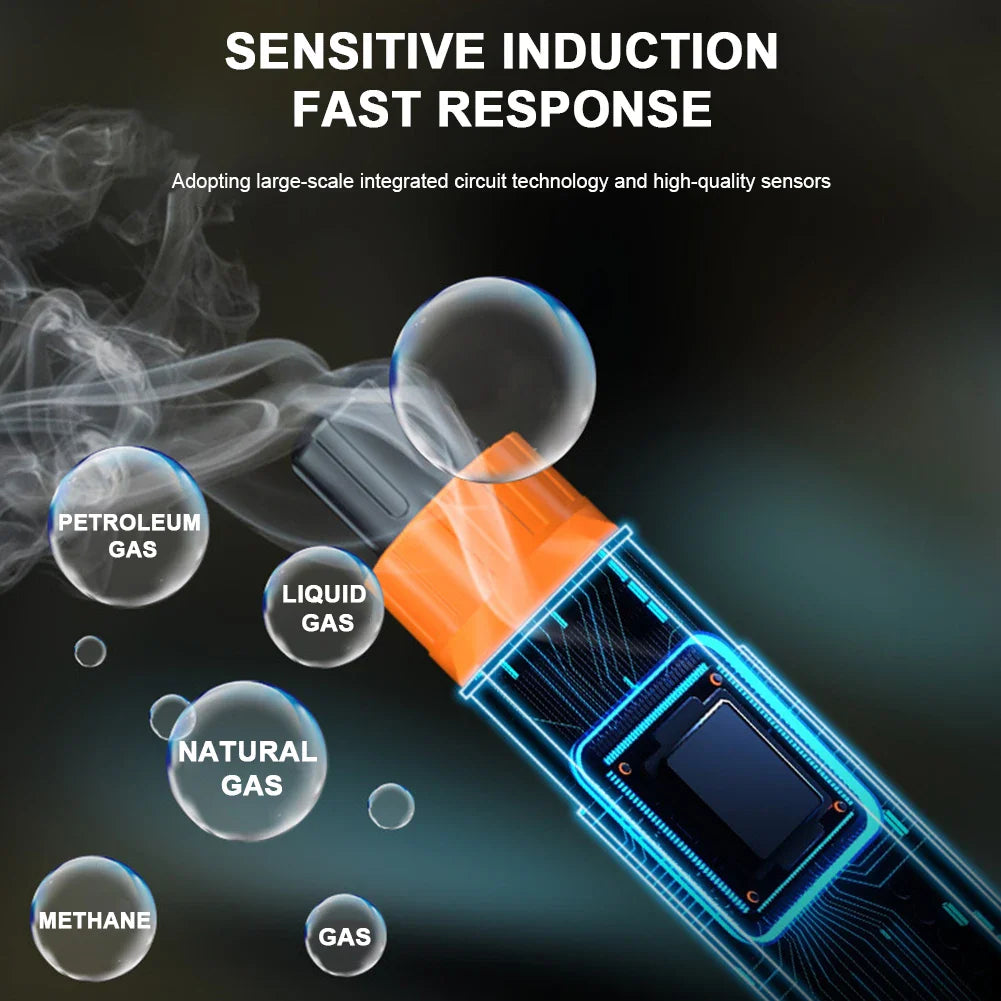 LeakSense Pro - Listen before it gets dangerous 