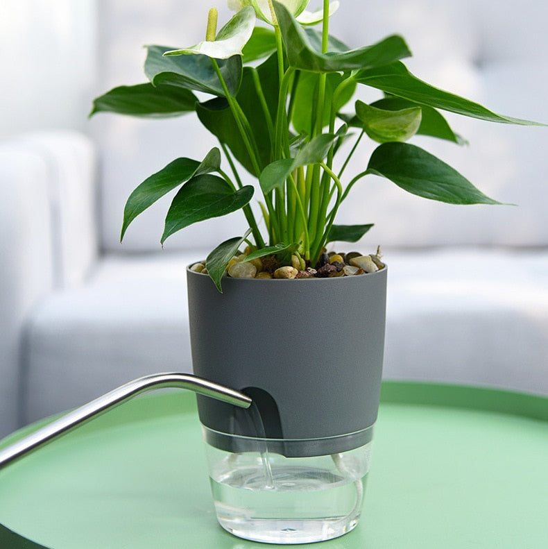PlanterFlow - Self-Watering Planters [Last Day Sale]