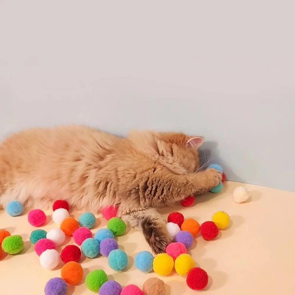 PurrShot - Play &amp; Exercise for Curious Cats (1 Set)