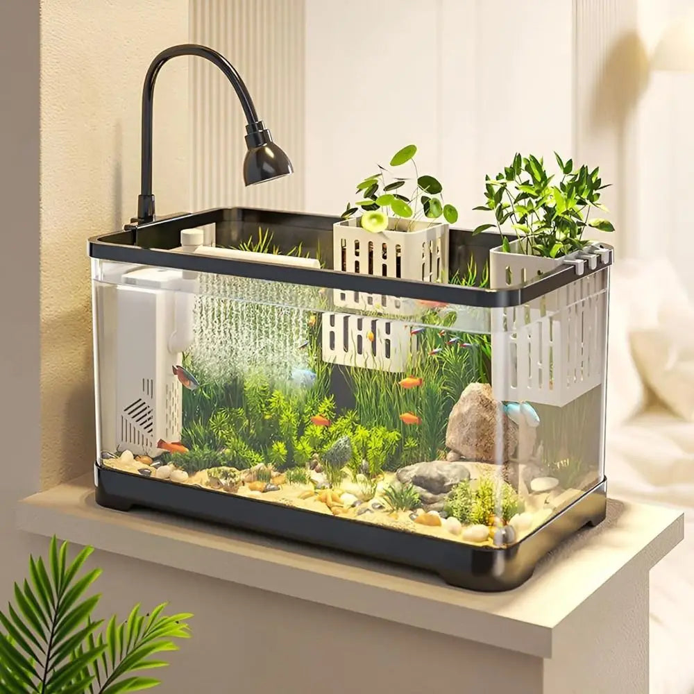 Buy one and get one free | TankBloom – Natural flair for your aquarium!