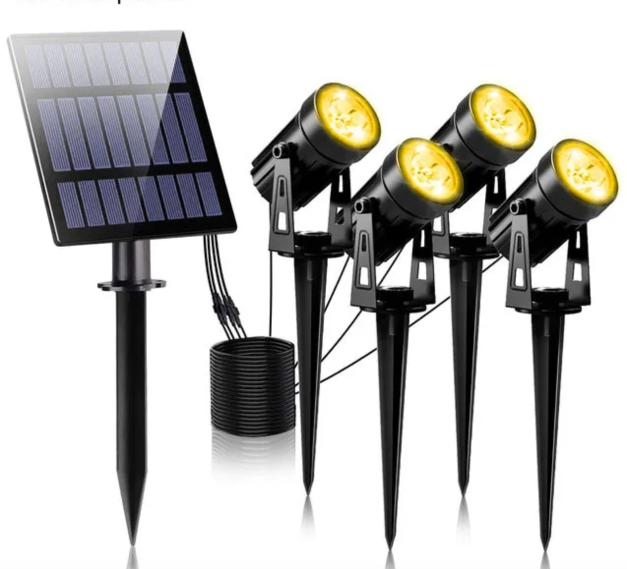2+3 FREE | SolarFocus - Solar Spotlight