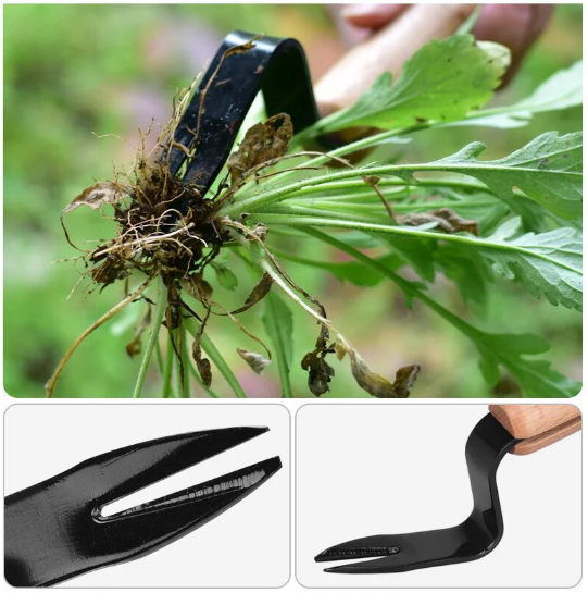 WeedTool - Compact weed puller