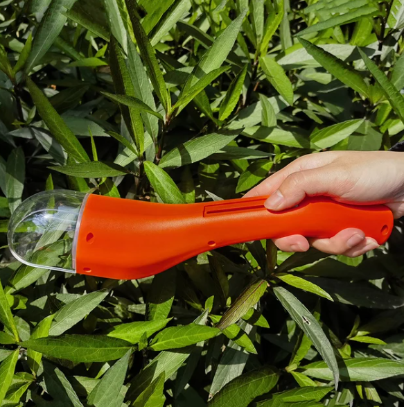 BugWhisper – Catch insects gently and safely!