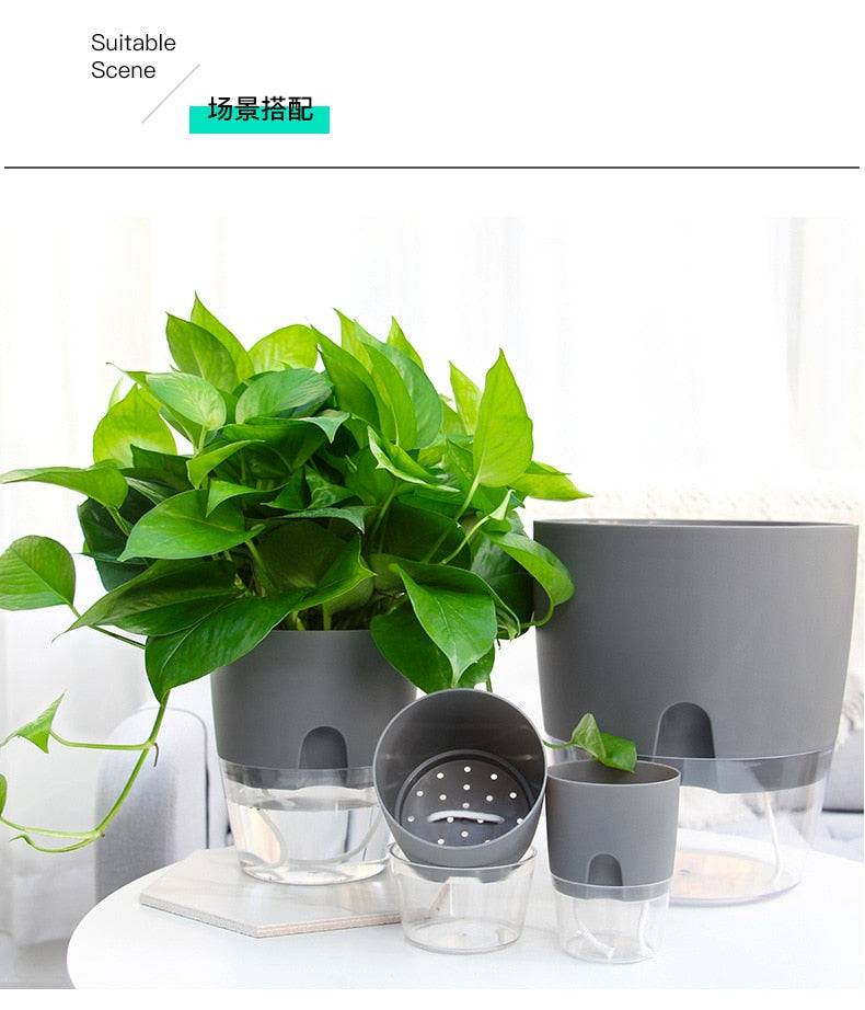 PlanterFlow - Self-Watering Planters [Last Day Sale]
