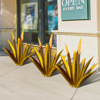 50% OFF | EternalAgave™ - Waterproof Eternal Agave Rustic Sculpture [Last Day Sale]