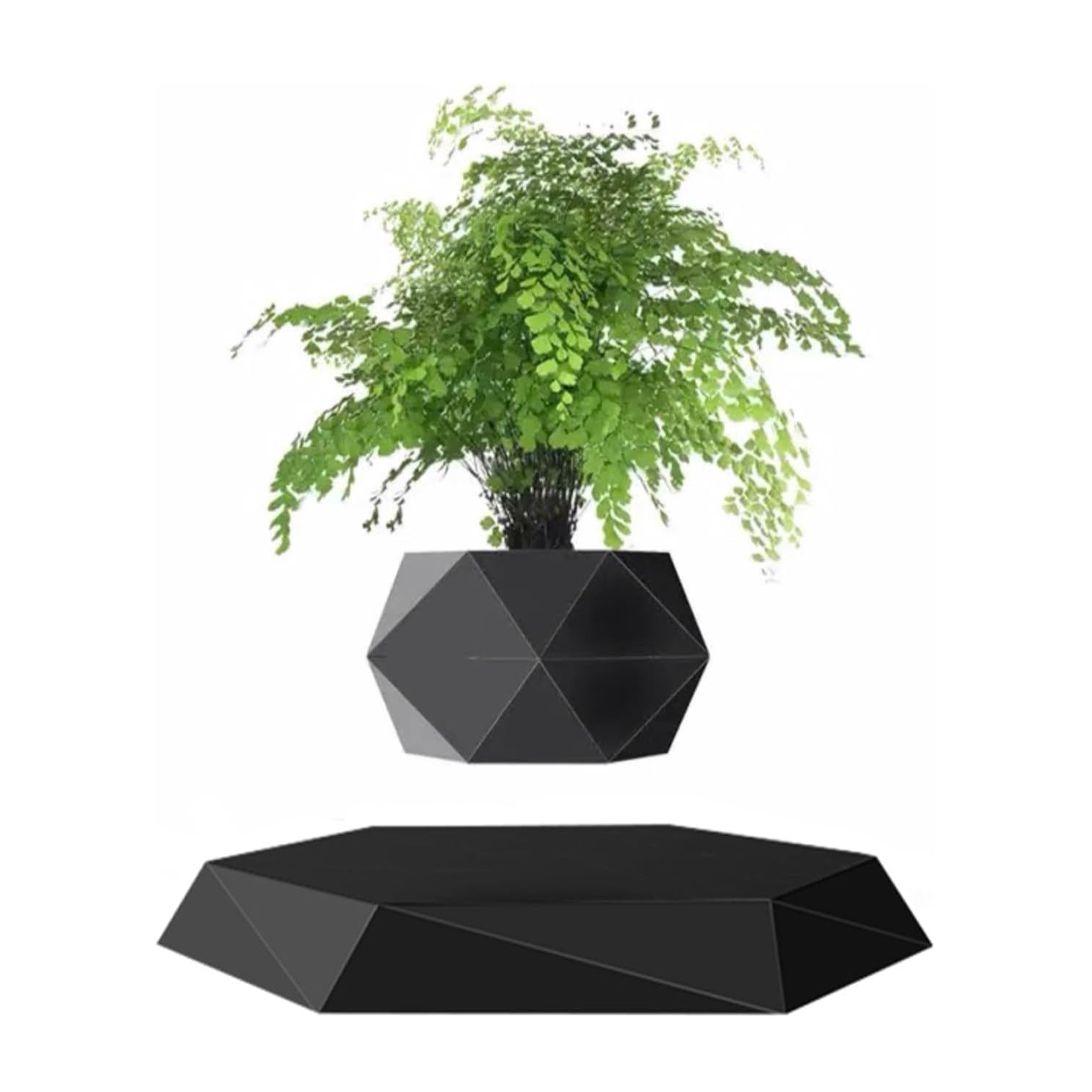 Plantlev - The floating plant that catches everyone's attention!