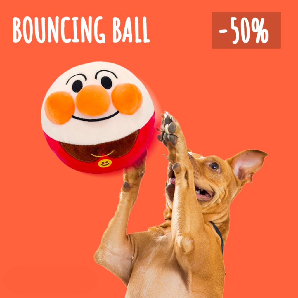 PawMotion - hours of play without boredom