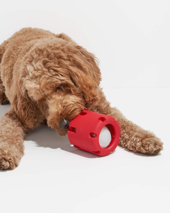 50% OFF | FetchFun™ - Tennis Chew Toy for Dogs [Last Day Sale]