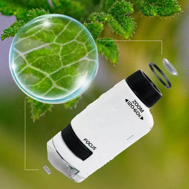 MicroQuest - The pocket microscope for little explorers