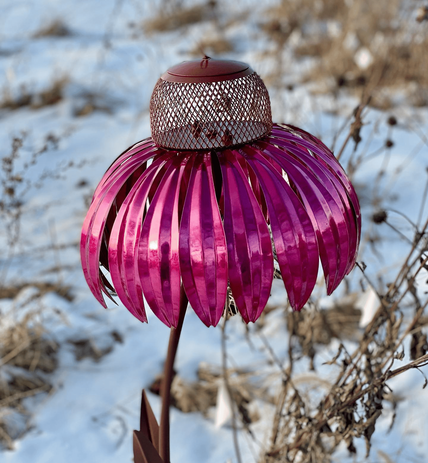 Buy one and get one free | FlorAvian™ - Coneflower Bird Feeder [Last-day sale]