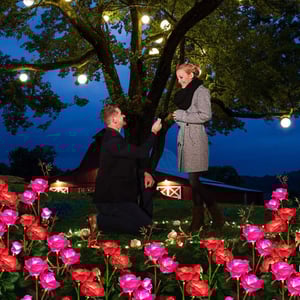 RoseGlow - Romantic garden lighting without electricity