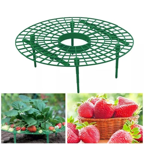 2+1 FREE | GrowBerry - Strawberry Growing Tray