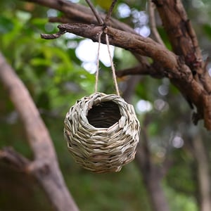 NestHaven - Provide hummingbirds with a safe home every year
