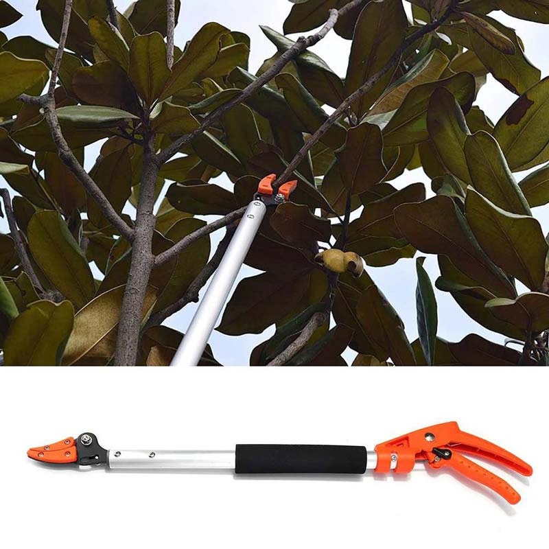 TrimReach - Effortless pruning of high hedges 