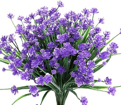 2+3 FREE | BloomAura - Natural floral splendor without maintenance