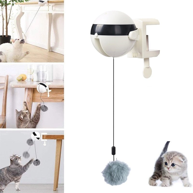 CatTumble - Automatic Cat Play Ball