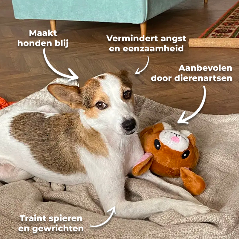 PupToy - the interactive dog toy [Last day sale]