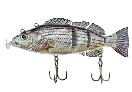 PredaBot - The AI bait for your next record catch!