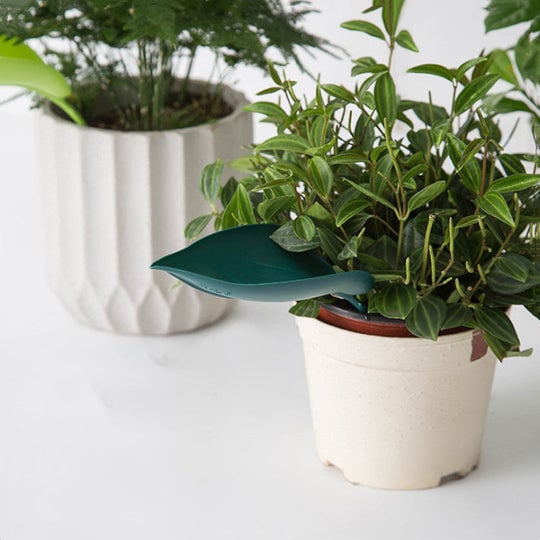 3+3 FREE | Leafy - Leaf Design Watering Funnel [Last Day Sale]