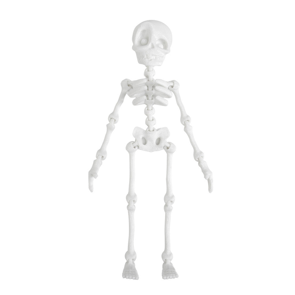 Griezelige Skelet Koelkastmagneet voor Halloweendecoratie