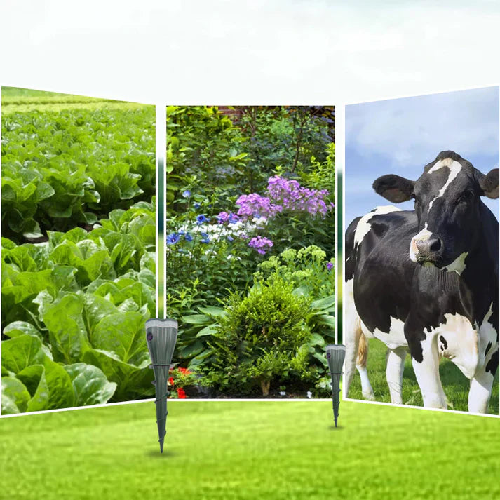 Buy one and get one free | VibraGreen - Peace and quiet for your garden