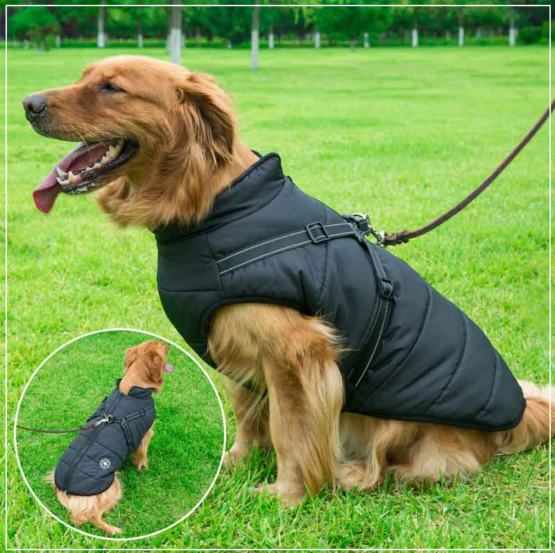 PupGuard™ - Winter Dog Coat with Harness [Last Day Sale]