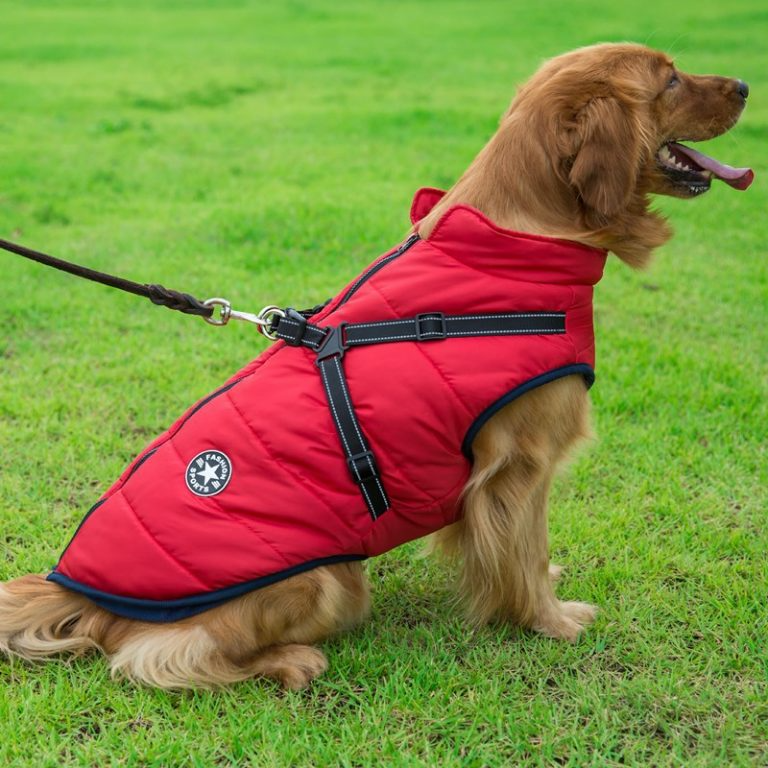 PupGuard™ - Winter Dog Coat with Harness [Last Day Sale]