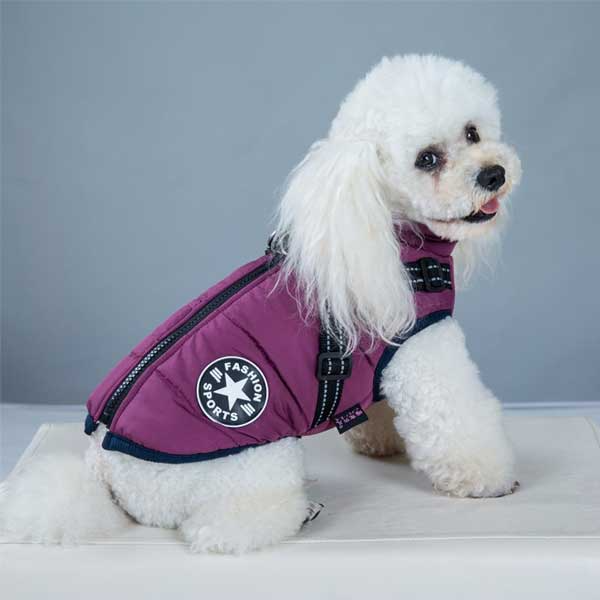 PupGuard™ - Winter Dog Coat with Harness [Last Day Sale]