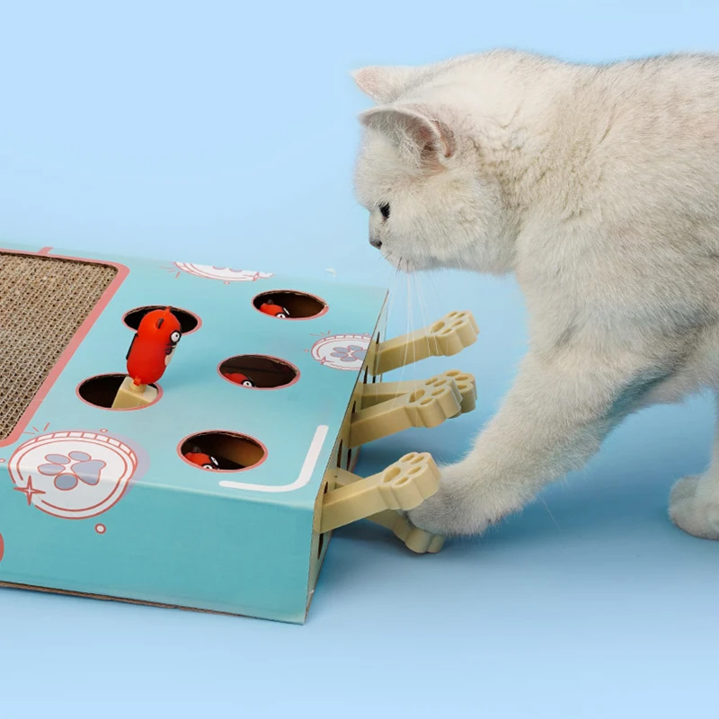 ScratchNest - Scratch, play &amp; chill all in one place!