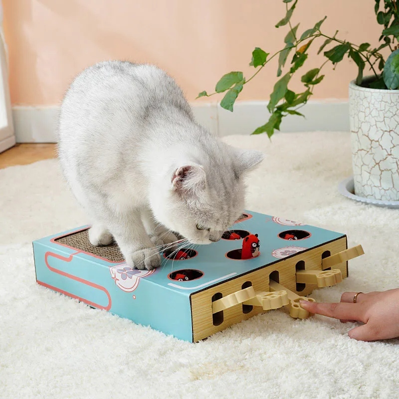 ScratchNest - Scratch, play &amp; chill all in one place!