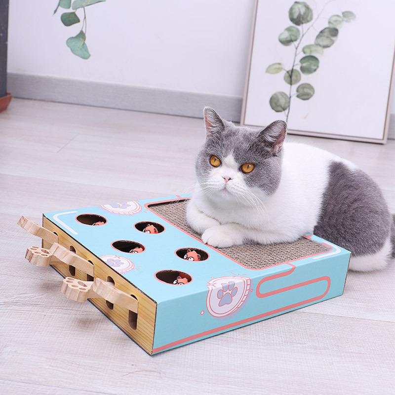 ScratchNest - Scratch, play &amp; chill all in one place!