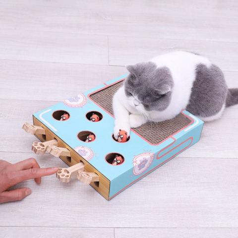 ScratchNest - Scratch, play &amp; chill all in one place!