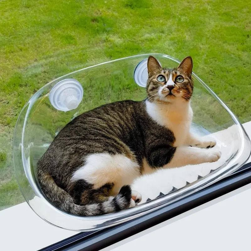 PurrLounge™ - The ultimate feel-good zone for your cat [Last day sale]