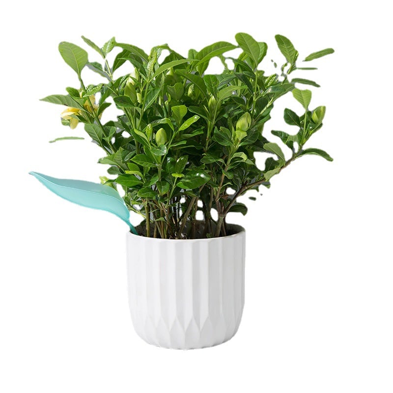 3+3 FREE | Leafy - Leaf Design Watering Funnel [Last Day Sale]