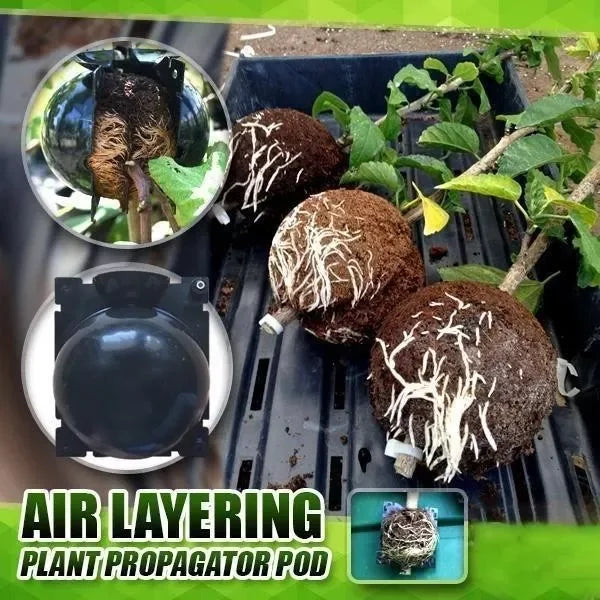 2+3 FREE | GrowBox™ - Plant Root Growing Tray [Last Day Sale]