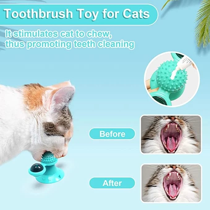 SpinPaw™ - Endless fun &amp; exercise for your cat!