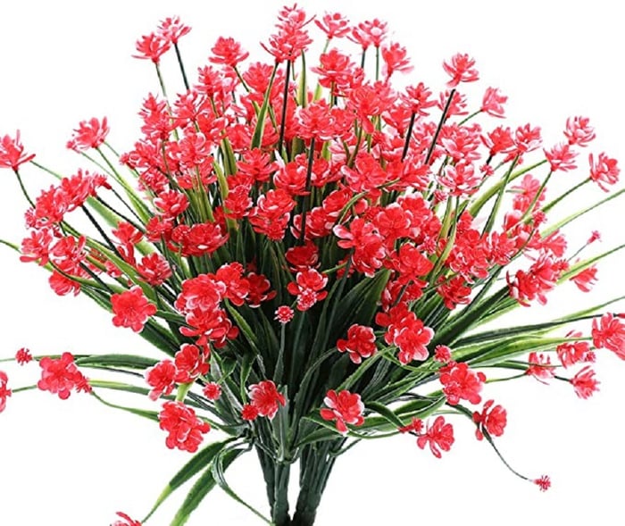2+3 FREE | BloomAura - Natural floral splendor without maintenance
