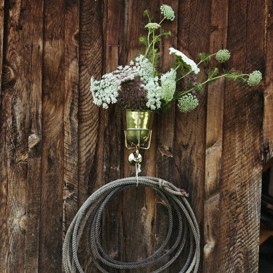 Holdify – The stylish wall pot for every room