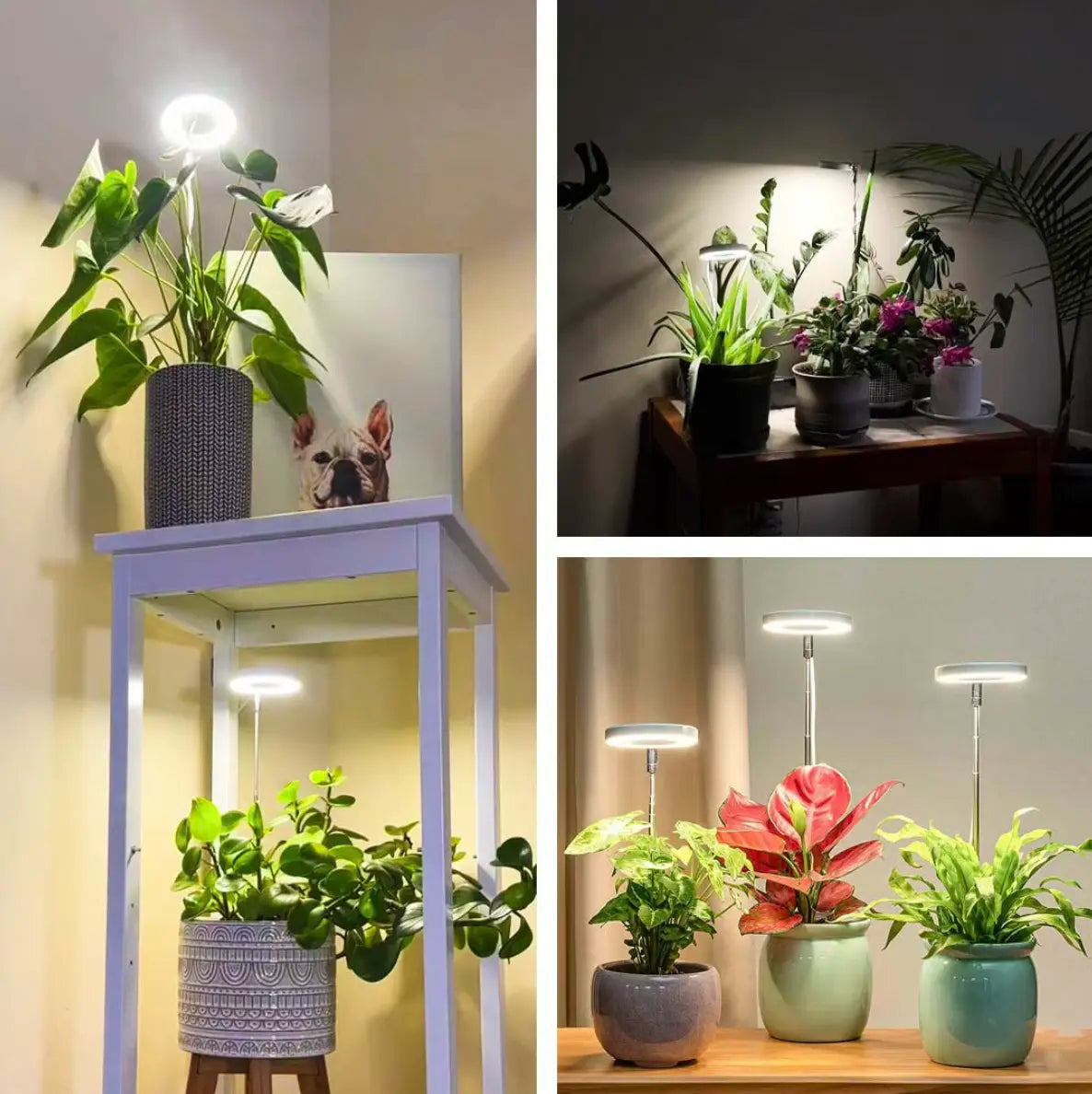 HerbaLite - Full-Spectrum Plant Lamp with Adjustable Stand [Last Day Sale]