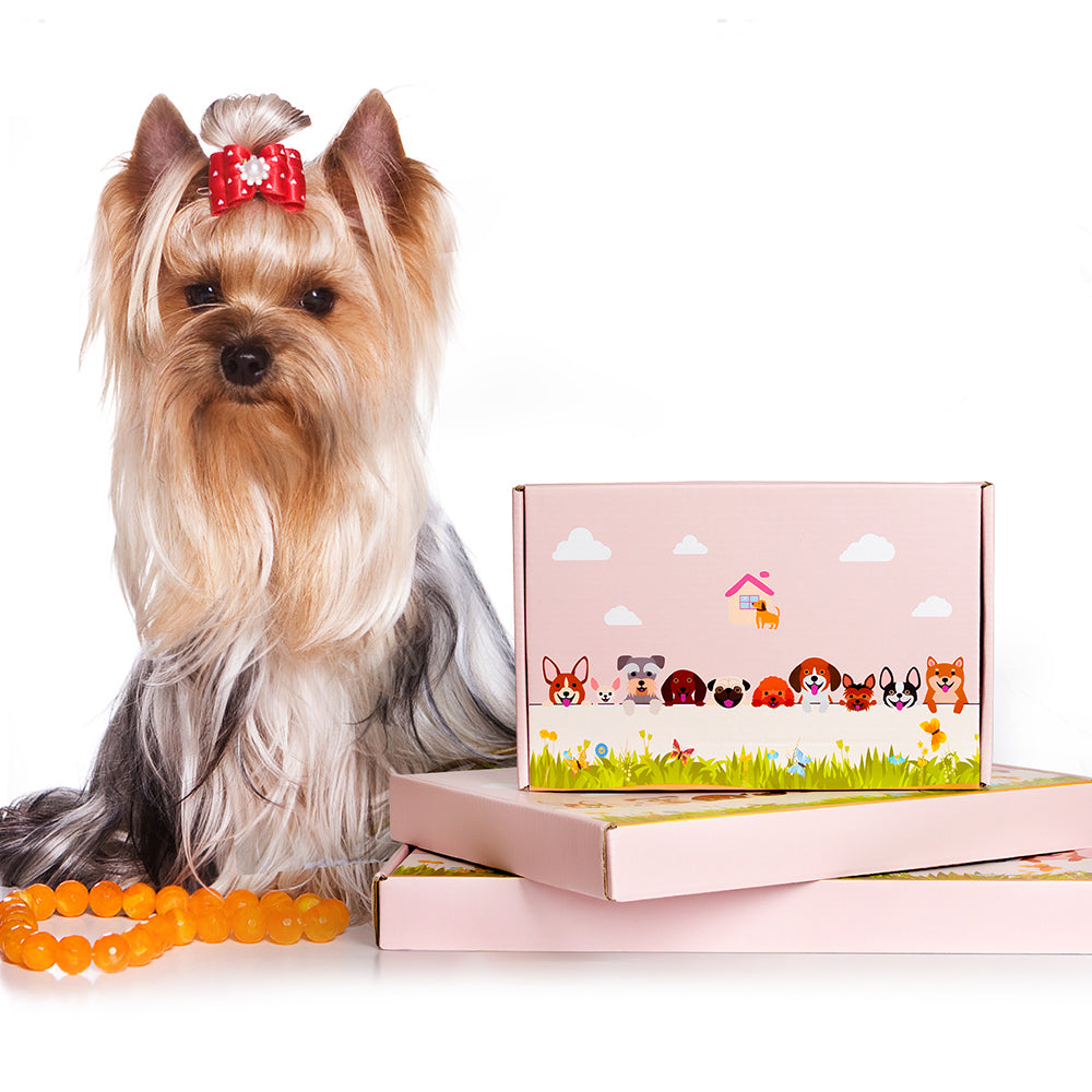 PawPlanter - The stylish flowerpot for dog lovers