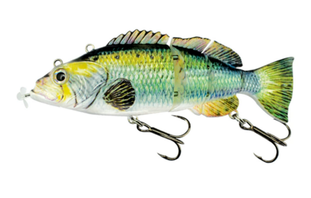 PredaBot - The AI bait for your next record catch!