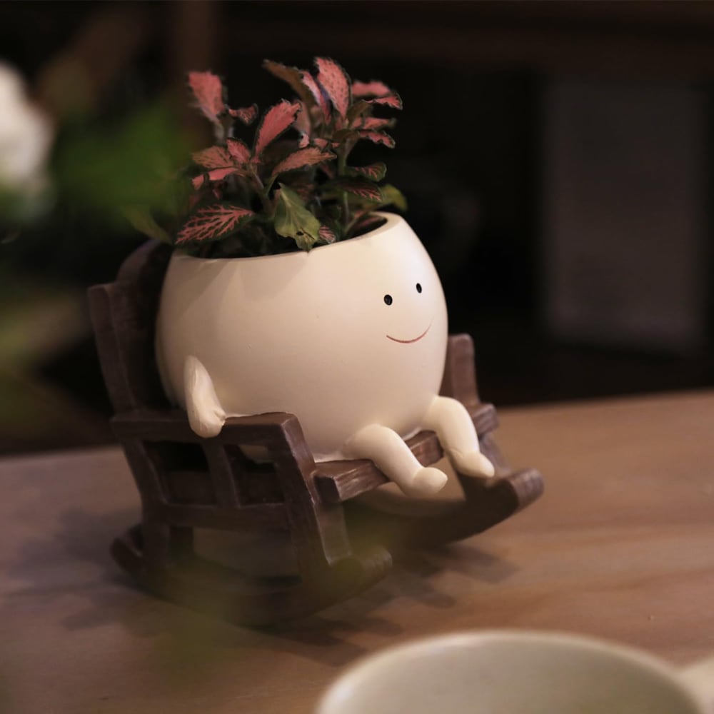 JollyPot - Charming planter for vibrant greenery