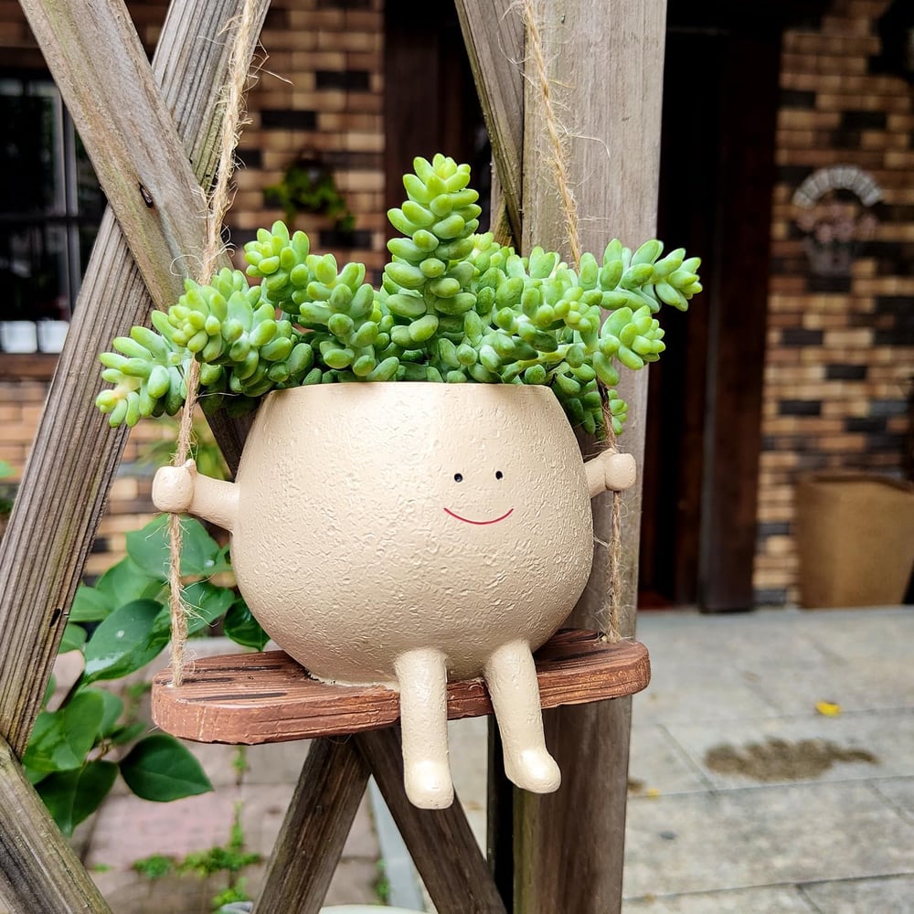 JollyPot - Charming planter for vibrant greenery