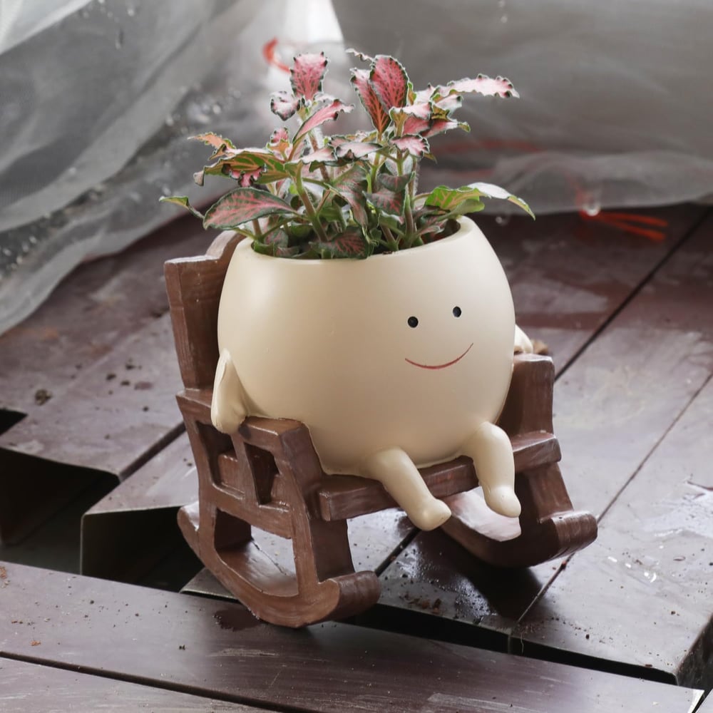 JollyPot - Charming planter for vibrant greenery