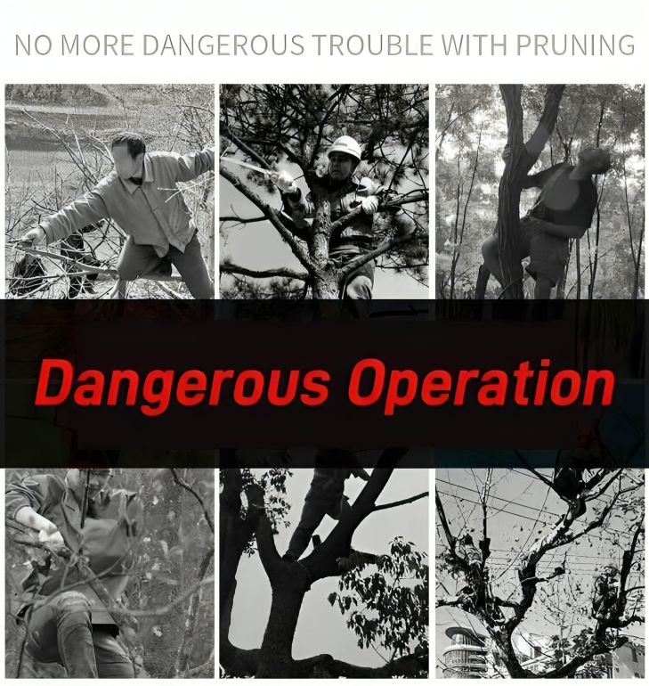 TreeTrim - Prune high branches safely from the ground!