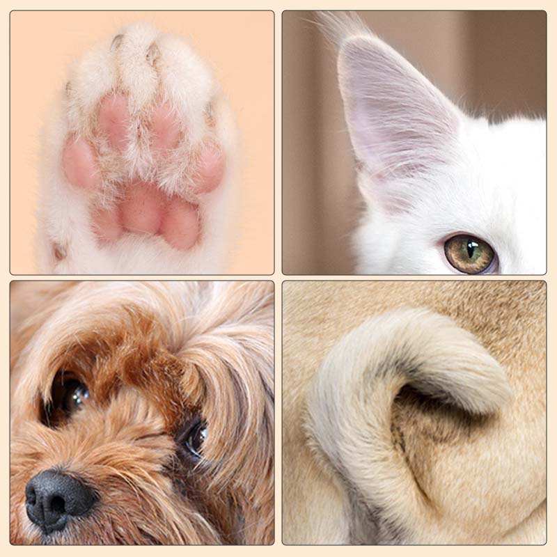 ShinePaws™ LED Pet Clipper [Last Day Sale]