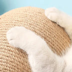 PootViva kattenspeelgoed voor actief spelen binnenshuis